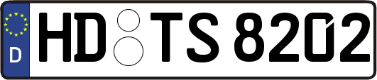 HD-TS8202
