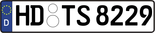 HD-TS8229