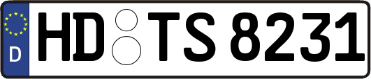HD-TS8231
