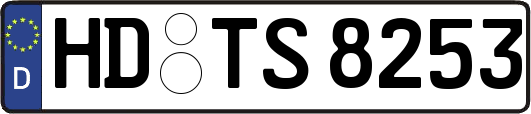 HD-TS8253