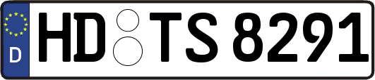 HD-TS8291