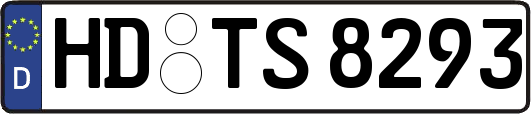 HD-TS8293