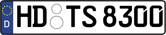 HD-TS8300