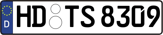 HD-TS8309