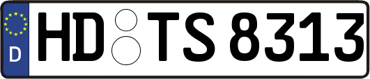 HD-TS8313