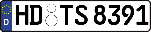HD-TS8391