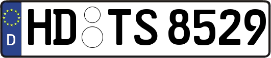 HD-TS8529