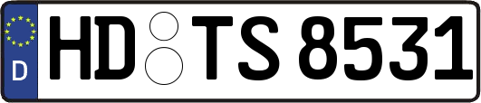 HD-TS8531