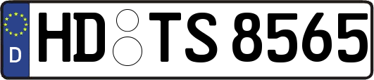 HD-TS8565