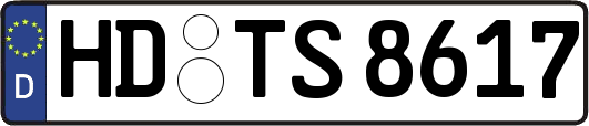 HD-TS8617
