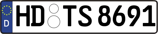 HD-TS8691