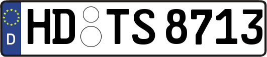 HD-TS8713