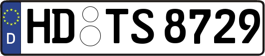 HD-TS8729