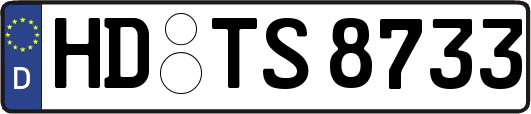 HD-TS8733