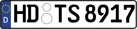 HD-TS8917