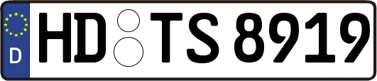 HD-TS8919