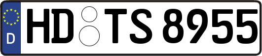 HD-TS8955