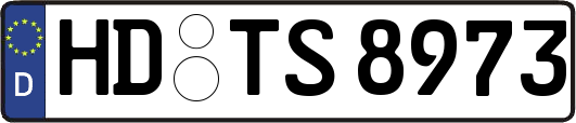 HD-TS8973