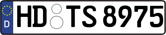 HD-TS8975