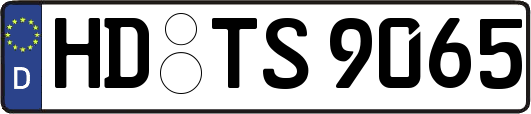 HD-TS9065