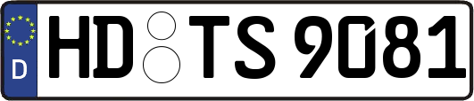 HD-TS9081