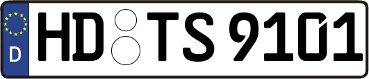 HD-TS9101