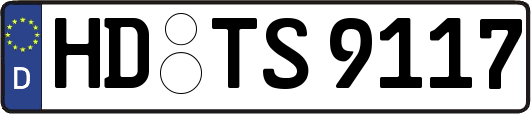 HD-TS9117