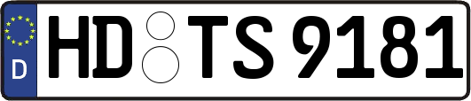 HD-TS9181