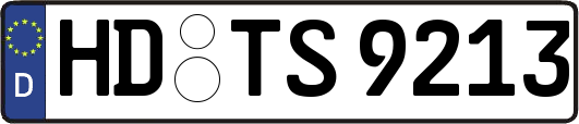 HD-TS9213