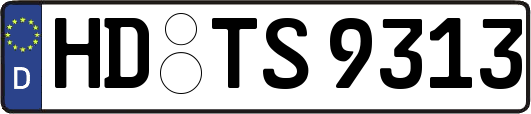 HD-TS9313