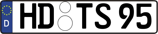 HD-TS95