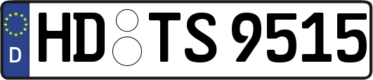 HD-TS9515