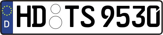 HD-TS9530