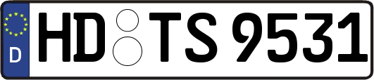 HD-TS9531