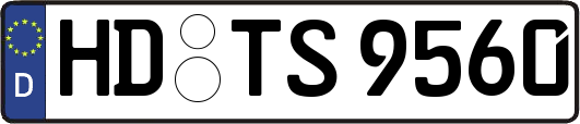 HD-TS9560