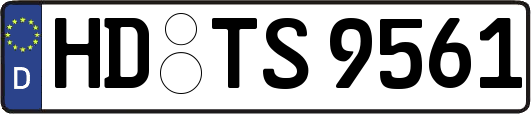 HD-TS9561