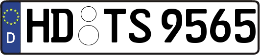 HD-TS9565
