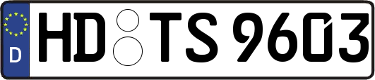 HD-TS9603