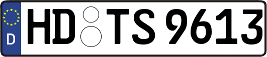 HD-TS9613