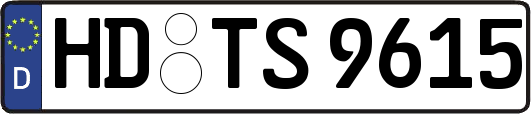 HD-TS9615