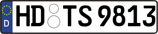 HD-TS9813