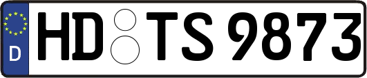 HD-TS9873