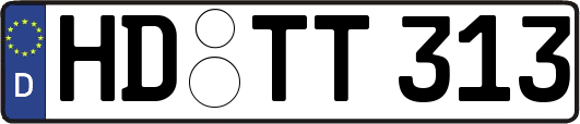 HD-TT313