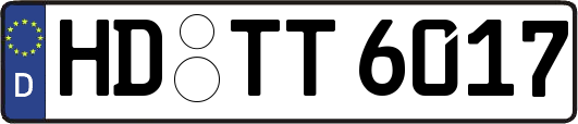 HD-TT6017