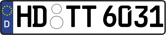 HD-TT6031