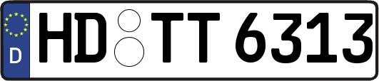 HD-TT6313