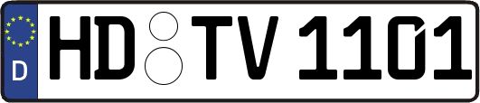 HD-TV1101