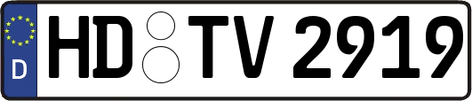 HD-TV2919