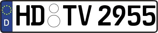 HD-TV2955
