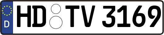 HD-TV3169